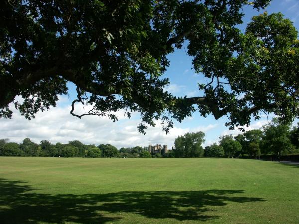 Die schönsten Parks in Dublin: St. Stephen’s Green und mehr